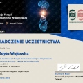 Powiększ obraz: certificate 9