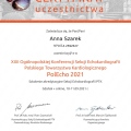 Powiększ obraz: certificate 3