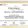 Powiększ obraz: certificate 13