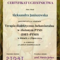 Powiększ obraz: certificate 20