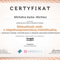 Powiększ obraz: certificate 5