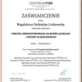 Powiększ obraz: certificate 2