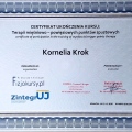 Powiększ obraz: certificate 12