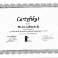 Powiększ obraz: certificate 8