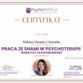 Powiększ obraz: certificate 23