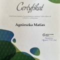 Powiększ obraz: certificate 2