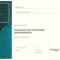 Powiększ obraz: certificate 13