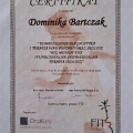 Powiększ obraz: certificate 7
