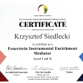 Powiększ obraz: certificate 1