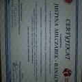 Powiększ obraz: certificate 2