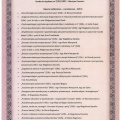 Powiększ obraz: certificate 2
