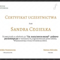 Powiększ obraz: certificate 3