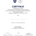 Powiększ obraz: certificate 2