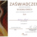 Powiększ obraz: certificate 16