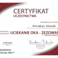 Powiększ obraz: certificate 5