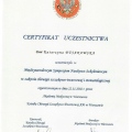 Powiększ obraz: certificate 8