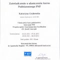 Powiększ obraz: certificate 3