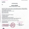 Powiększ obraz: certificate 8