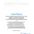 Powiększ obraz: certificate 8
