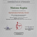 Powiększ obraz: certificate 13