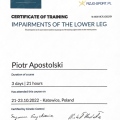 Powiększ obraz: certificate 9