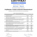 Powiększ obraz: certificate 17