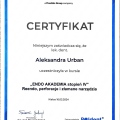 Powiększ obraz: certificate 4