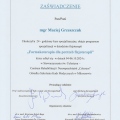 Powiększ obraz: certificate 5