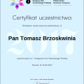 Powiększ obraz: certificate 31
