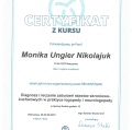 Powiększ obraz: certificate 7