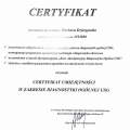 Powiększ obraz: certificate 2