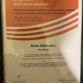 Powiększ obraz: certificate 1