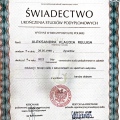 Powiększ obraz: certificate 3
