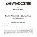 Powiększ obraz: certificate 3