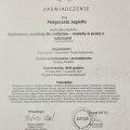 Powiększ obraz: certificate 6