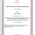 Powiększ obraz: certificate 1