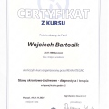 Powiększ obraz: certificate 11