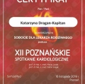 Powiększ obraz: certificate 2