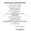 Powiększ obraz: certificate 2