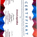 Powiększ obraz: certificate 7