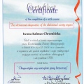 Powiększ obraz: certificate 8