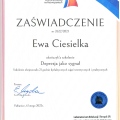 Powiększ obraz: certificate 13