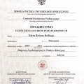 Powiększ obraz: certificate 12
