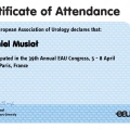Powiększ obraz: certificate 11