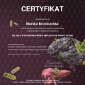Powiększ obraz: certificate 6