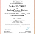 Powiększ obraz: certificate 5