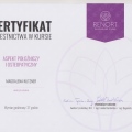 Powiększ obraz: certificate 4