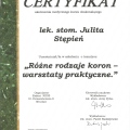 Powiększ obraz: certificate 21