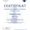 Powiększ obraz: certificate 56
