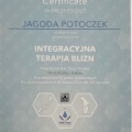 Powiększ obraz: certificate 8